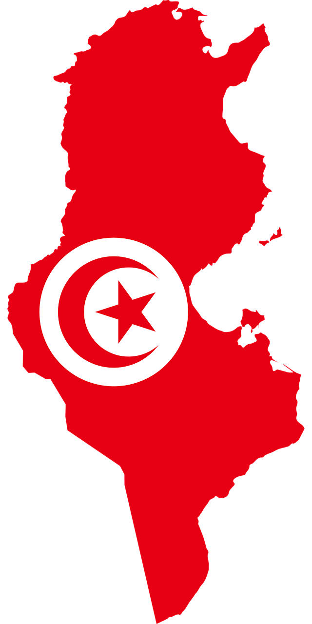 Sub-Saharan Africans severely victimised in Tunisia