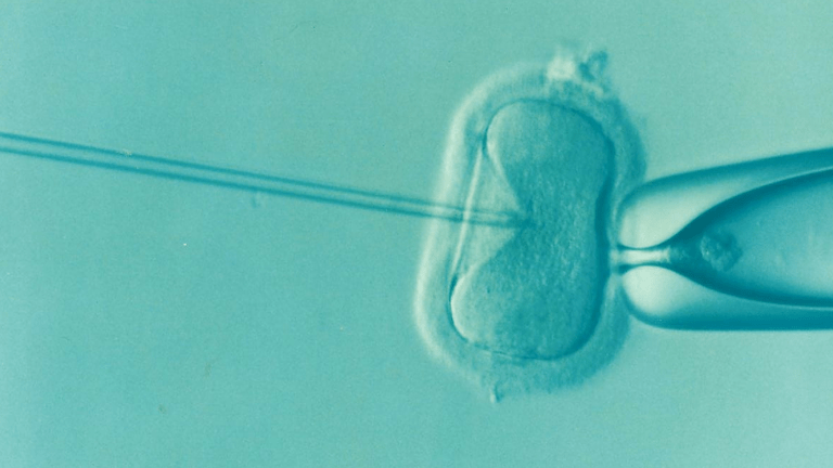 One in six people globally affected by infertility says WHO