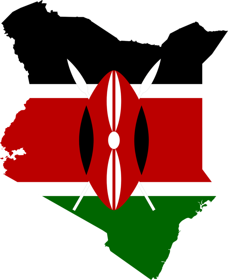 Kenya opens borders to all Africans with business agenda