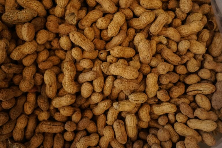 Peanut allergies lessened in children